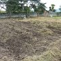 Hier wird ein kleines Feld für die Bohnensaat vorbereitet